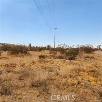 Pinon Hills, CA 92372,1595 La Mesa Road