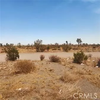 1590 Saratoga Road, Pinon Hills, CA 92372