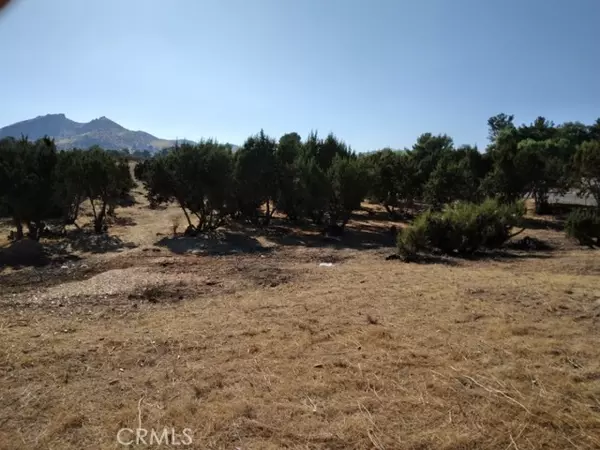 Agua Dulce, CA 91350,0 Agua Dulce Canyon