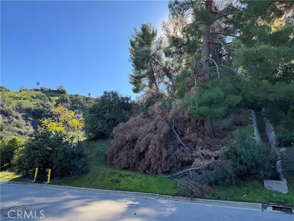 Woodland Hills (los Angeles), CA 91364,3 ambar Drive