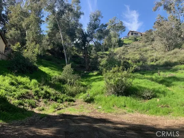 Lake Elsinore, CA 92530,0 BLACKWELL