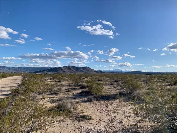 Joshua Tree, CA 92252,42 Foxy Flats Rd