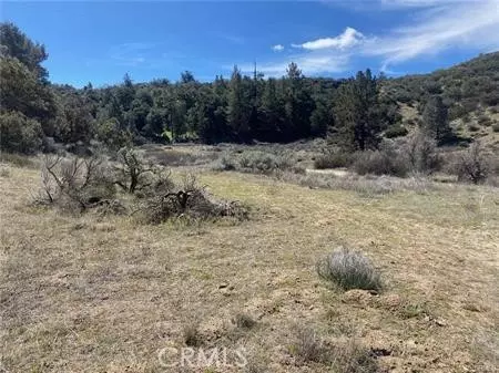 Anza, CA 92539,0 Hwy 371