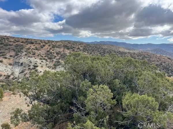 Tehachapi, CA 93561,25505 Sun View Drive