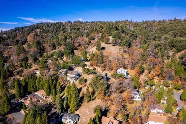 0 Briarwood Lane, Crestline, CA 92325