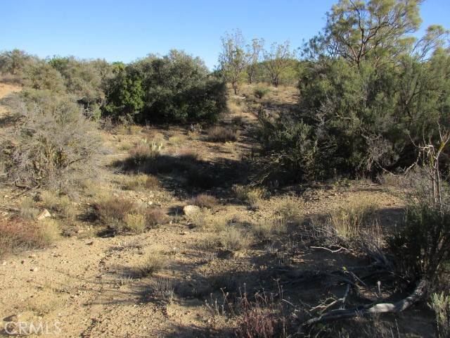 Anza, CA 92539,56660 Knollwood Drive