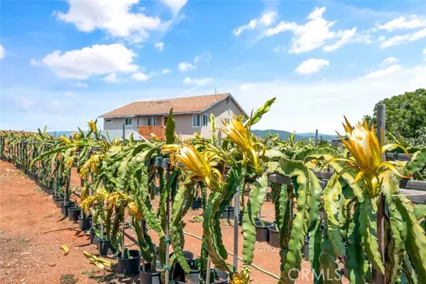 Fallbrook, CA 92028,1996 Rainbow Glen Road