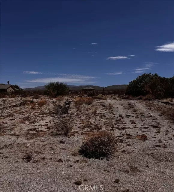 Borrego Springs, CA 92004,1451 Sewanee Drive