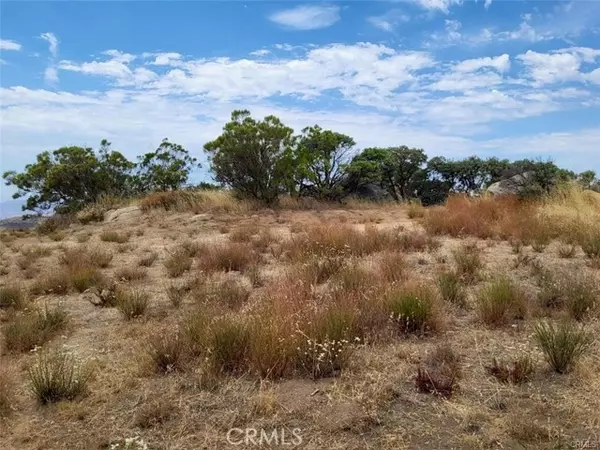 Aguanga, CA 92536,1007 Roan Way