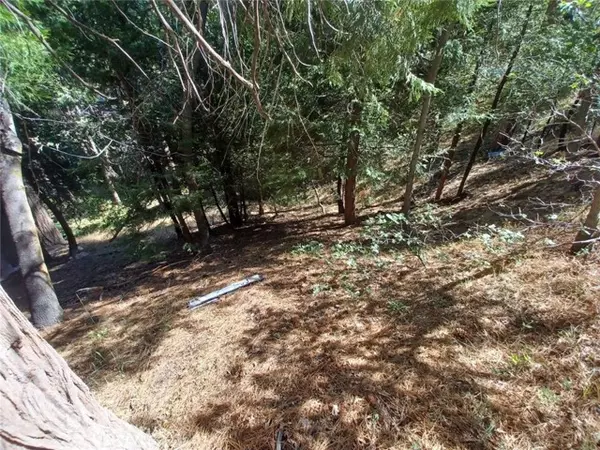 Twin Peaks, CA 92391,0 Club House Drive