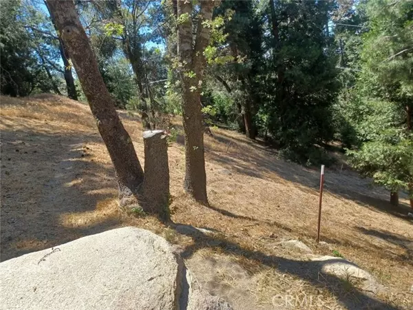 0 Pine Trail, Twin Peaks, CA 92391