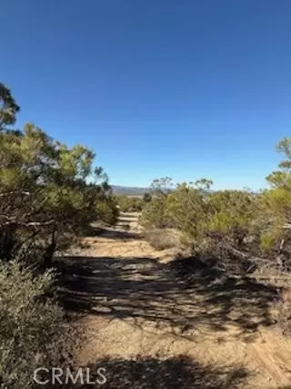 Anza, CA 92539,0 Reynolds