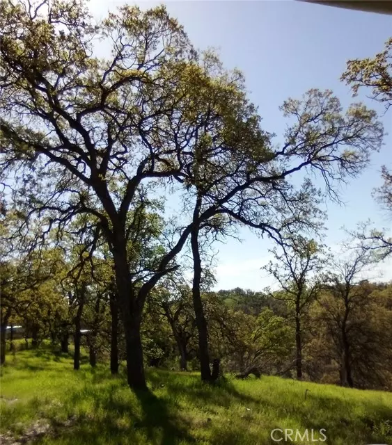 Corning, CA 96021,17065 Fawn Lane