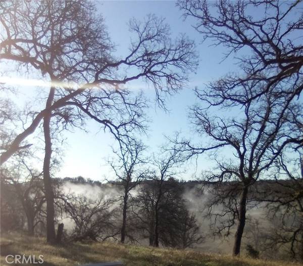 17065 Fawn Lane, Corning, CA 96021