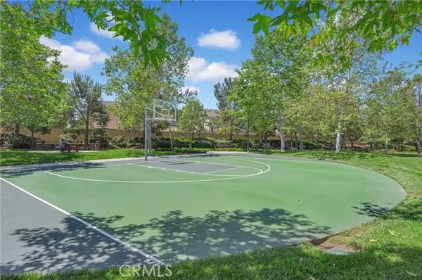 Irvine, CA 92618,230 Bright Poppy