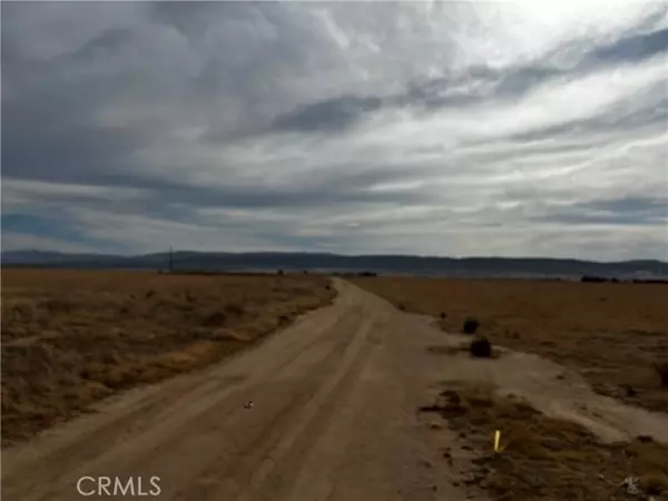 Antelope Acres, CA 93536,90 W Avenue G2