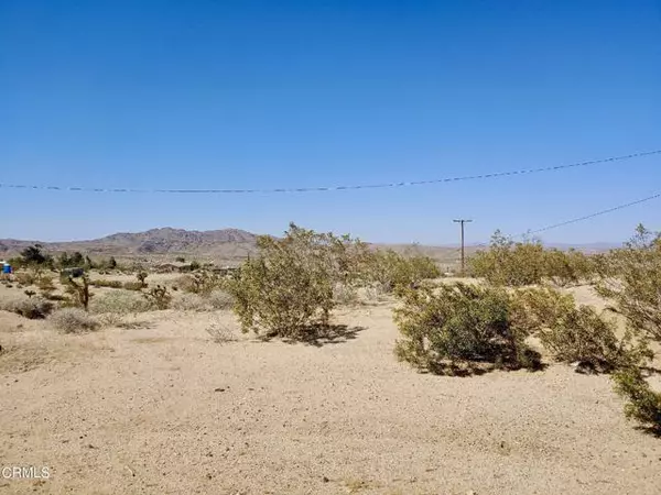 0 Sunnyhill Road, Joshua Tree, CA 92252