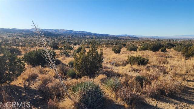 Pearblossom, CA 93553,0 x8 / 121