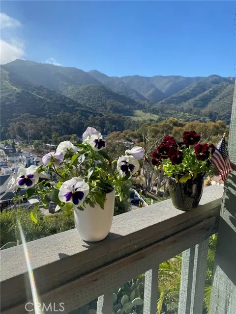 Avalon, CA 90704,113 Tremont Street