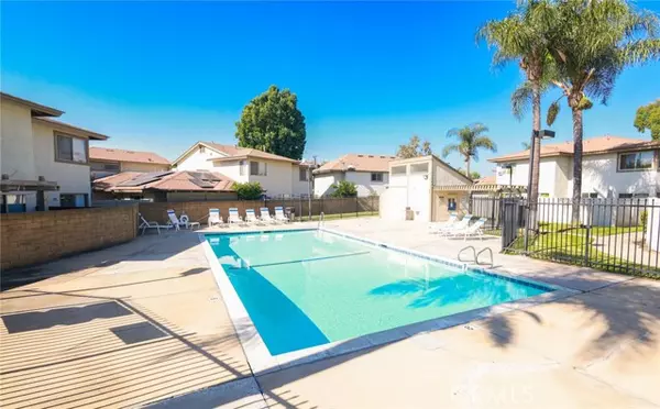 Ontario, CA 91762,952 Cone Flower