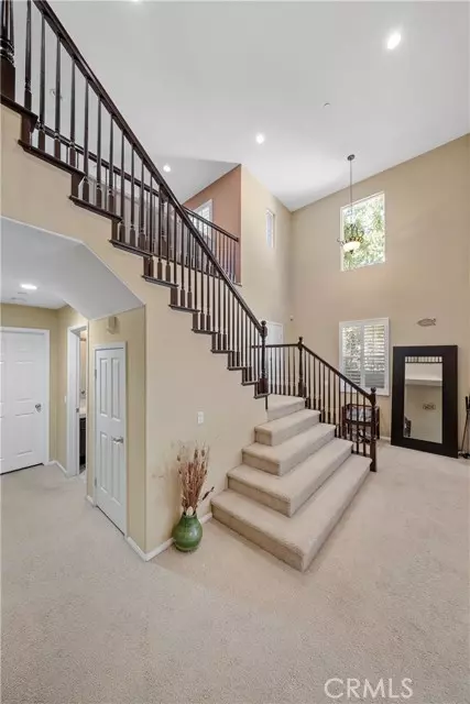 Chino Hills, CA 91709,5095 Buckwheat