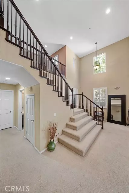 Chino Hills, CA 91709,5095 Buckwheat