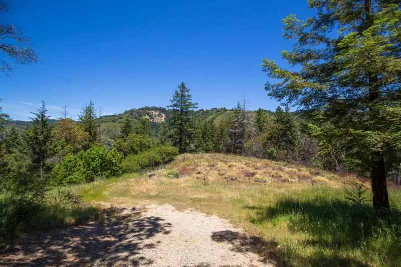 Boulder Creek, CA 95006,680 Hartman Creek Road