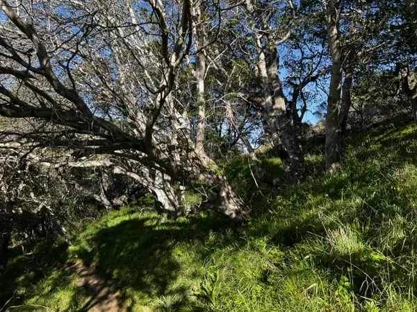 Belmont, CA 94002,0000 Bartlett Way