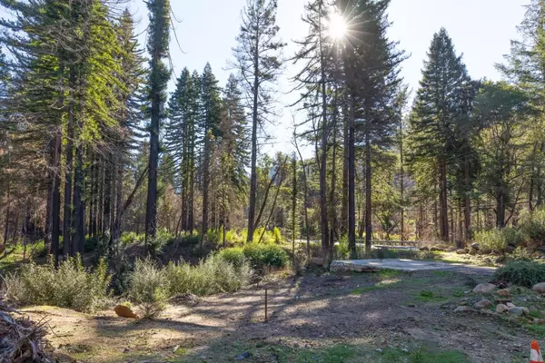 16050 Big Basin Way, Boulder Creek, CA 95006