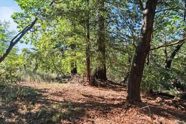 Lot 50 Middle Ellen Road, Los Gatos, CA 95033