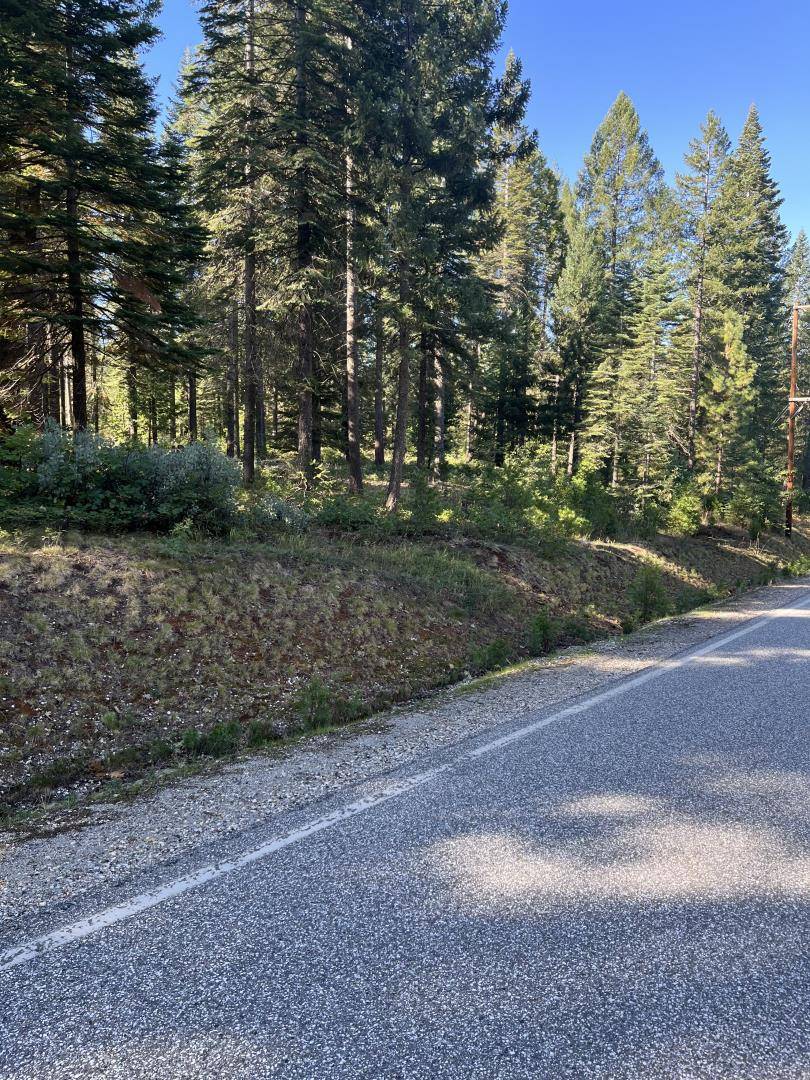 Nevada City, CA 95959,14695 Red Dog Road