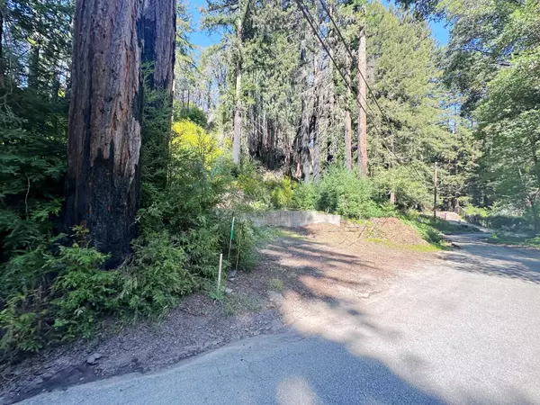 Boulder Creek, CA 95006,575 Hazel Brake