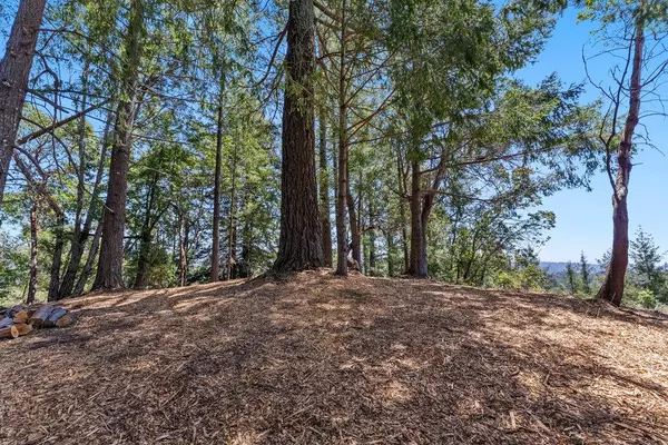 Scotts Valley, CA 95066,0 Quail Ridge Road