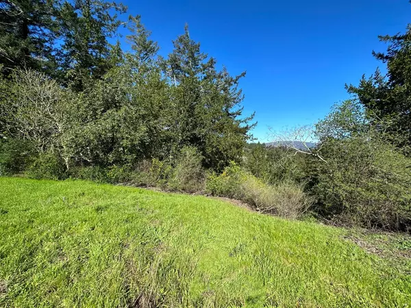 Los Gatos, CA 95033,22065 Old Santa Cruz Highway