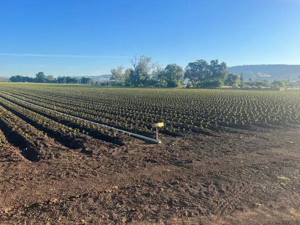 Gilroy, CA 95020,0002 Buena vista