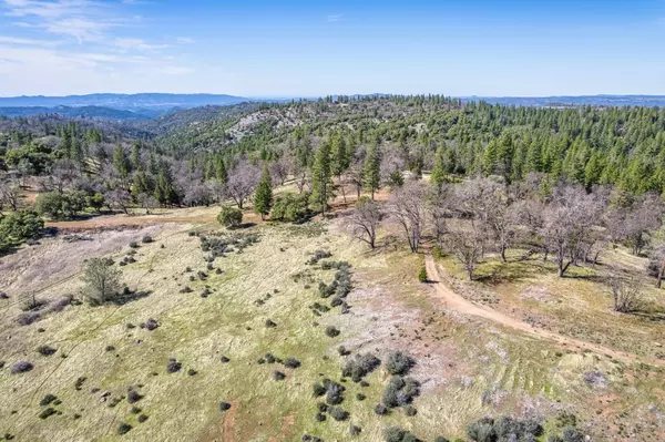 Murphys, CA 95247,0 N Forest Meadows