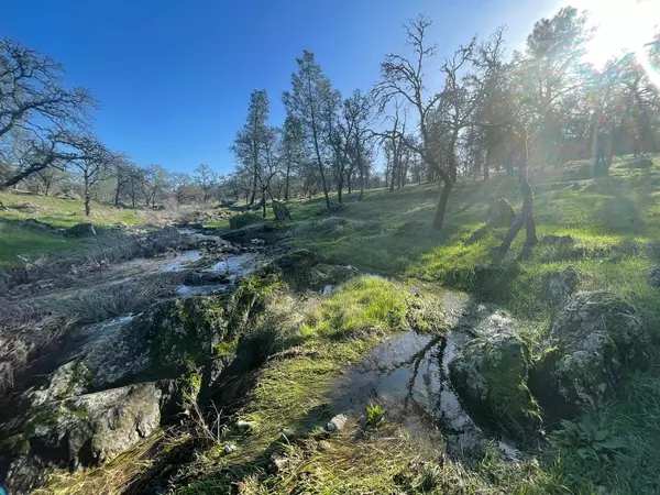 Bangor, CA 95914,0 Avacado Road