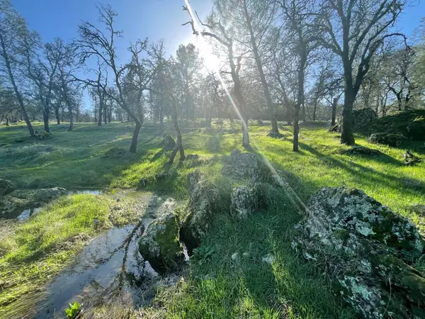 Bangor, CA 95914,0 Avacado Road