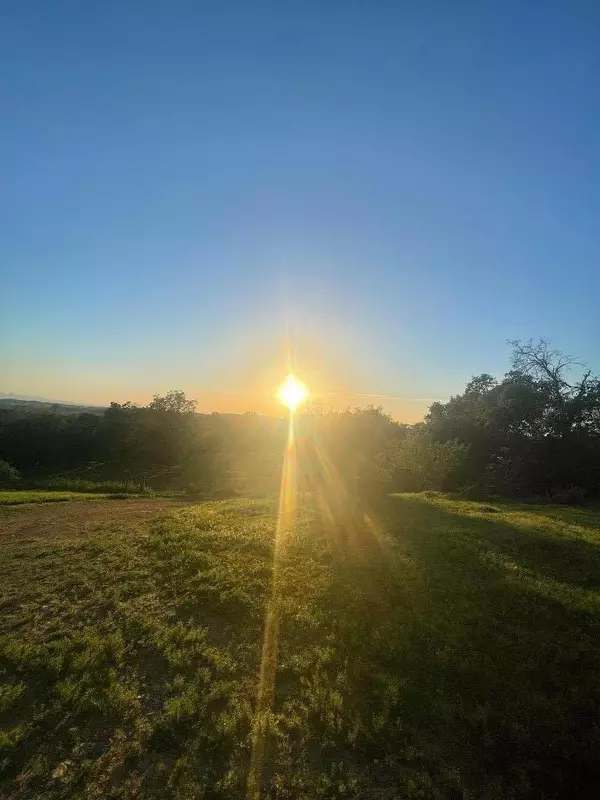 Bangor, CA 95914,0 Avacado Road