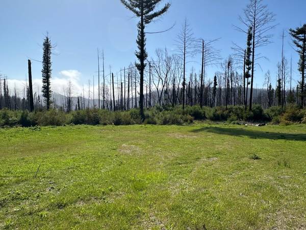 4605 Last Chance Road, Davenport, CA 95017