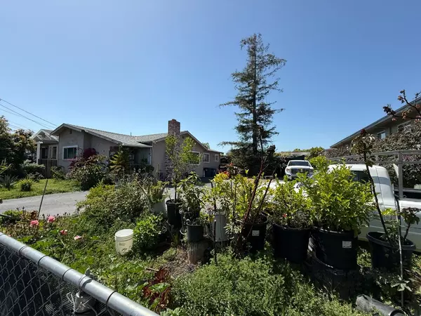 Redwood City, CA 94061,440 Madison Avenue