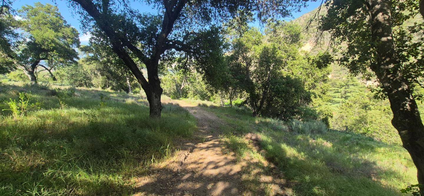 30010 Olivia Drive, Greenfield, CA 93927