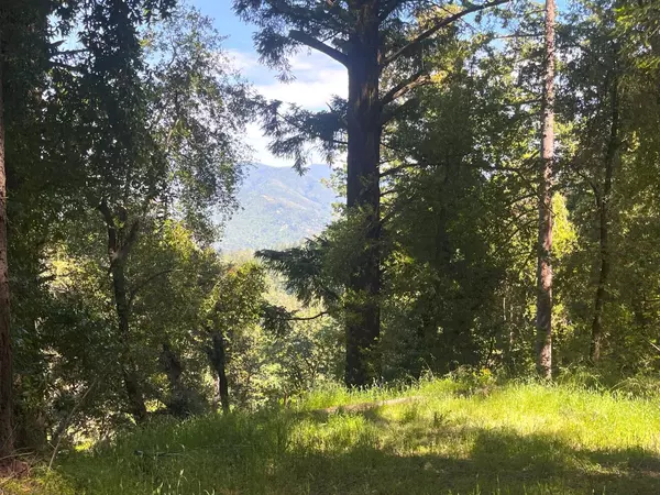 Los Gatos, CA 95033,19179 Skyline Boulevard