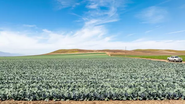 King City, CA 93930,48453 Lonoak Road