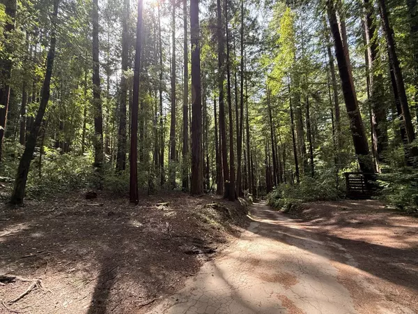 La Honda, CA 94020,00 Slate Creek Rd.