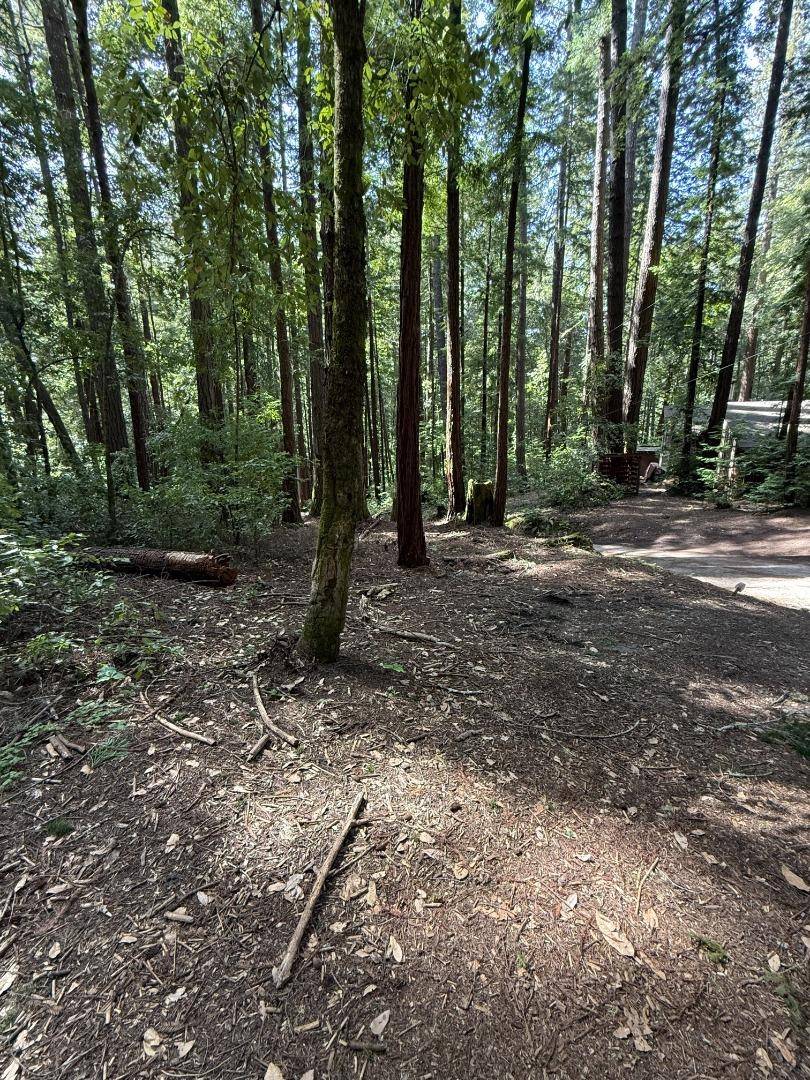 La Honda, CA 94020,00 Slate Creek Rd.