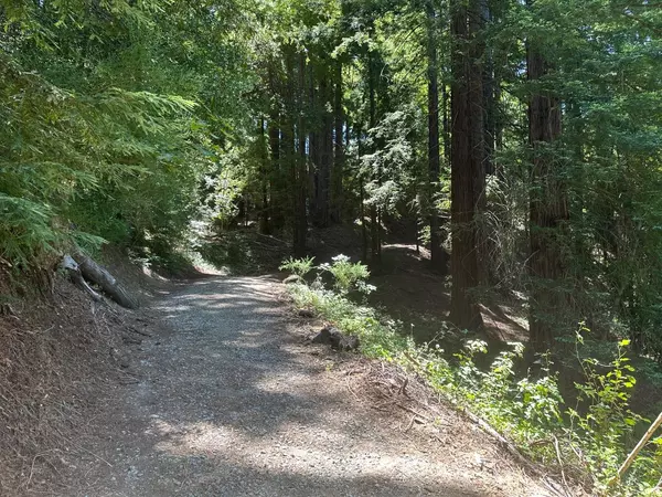 Los Gatos, CA 95033,0000 Main Boulevard