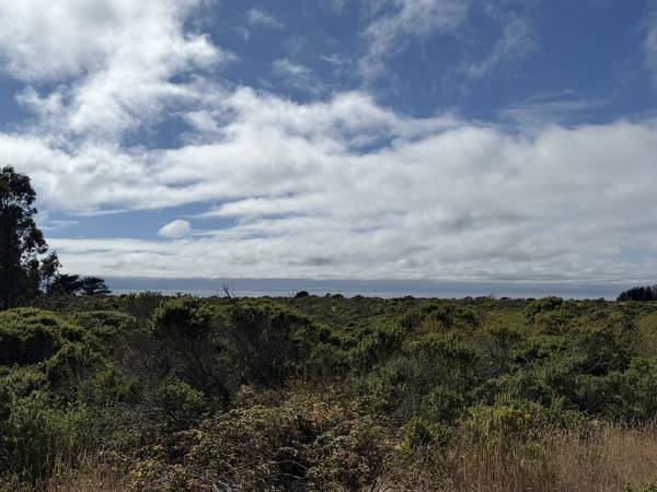 000 Bonita Ave., Half Moon Bay, CA 94019