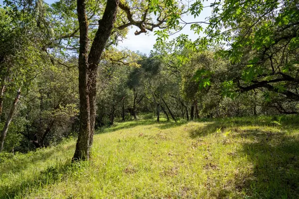 Carmel Valley, CA 93923,35000 Robinson Canyon Road
