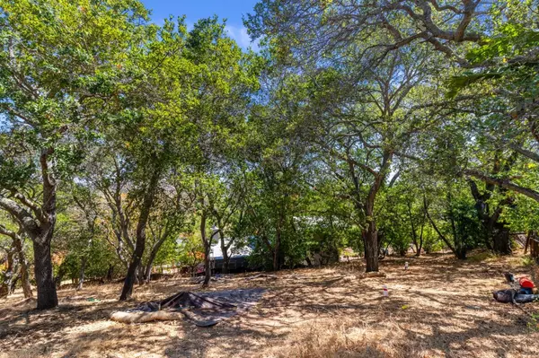 Redwood City, CA 94062,00 S Palomar Drive